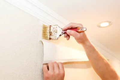 Pose de papier peint à Saizenay — revêtements muraux et toiles de verre